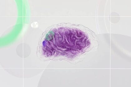 AI and fund manager software